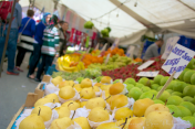 Fresh fruit creates a colorful mosaic at a public market.